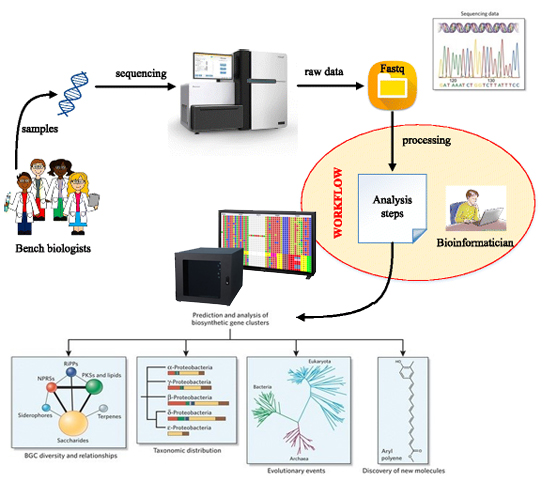 A730-SEQ.jpg